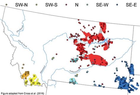 New Research Provides Insights into Sage Grouse DNA | Working Lands For ...