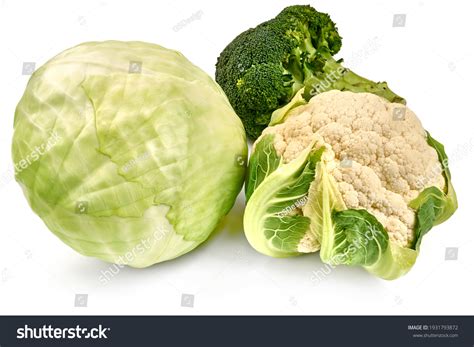 38,341 Broccoli Cabbage Cauliflower Images, Stock Photos & Vectors ...