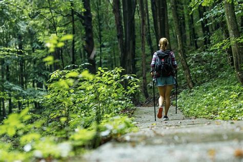 How does a walk in nature impact the brain?