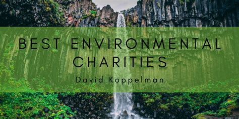 Best Environmental Charities | David Koppelman | Philanthropy