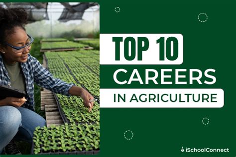 10 Careers In Agriculture