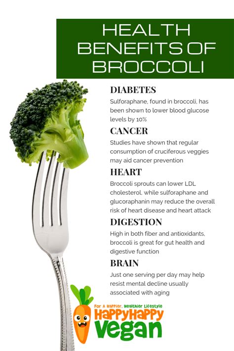 Broccoli 101: Recipes, Benefits, Nutrition, Facts, And More