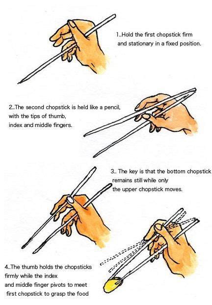 How to Eat With Chopsticks | How to hold chopsticks, Chopsticks, Dining ...