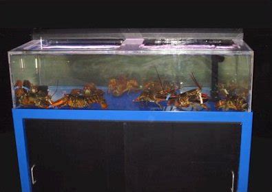 EASI Environmental Aquatic Service International - Lobster Tanks