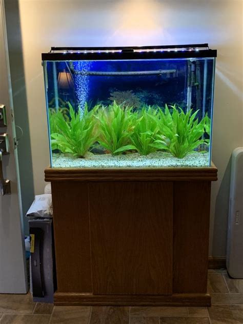 37 Gallon Fishtank for Sale in Sunnyvale, CA - OfferUp