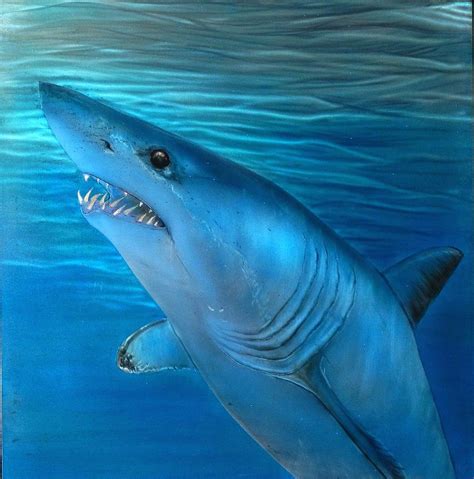 Mako Shark Painting by Hank Bufkin