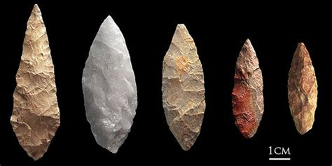 Blombos Cave bifacial points, made during the Middle Stone Age (about 75,000 years ago). The ...