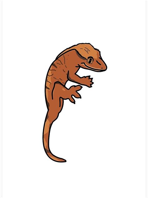 Crested Gecko Clipart | ubicaciondepersonas.cdmx.gob.mx