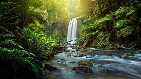 Fondos de Pantalla Australia Parque Cascadas Ríos Hopetoun Falls Aire River Great Otway National ...