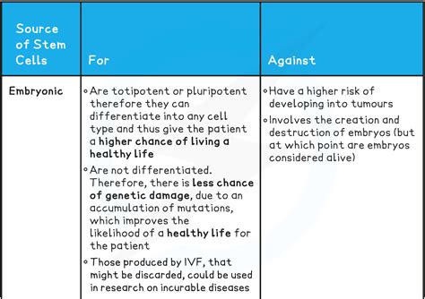 Stem Cells | DP IB Biology: HL Revision Notes 2016