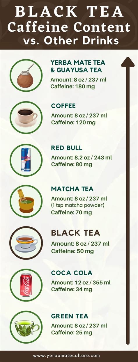 Top 19 how much caffeine in green tea 2022