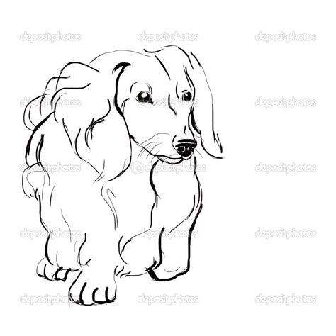 Dachshund Drawing at GetDrawings | Free download