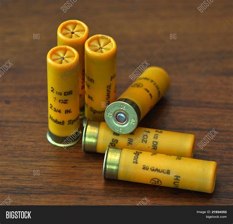 20 Gauge Shotgun Shells Stock Photo & Stock Images | Bigstock