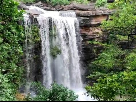 देलावाड़ी में चारों ओर हरियाली के बीच आकर्षक झरना, पर्यटकों को लुभा रहा | Attractive waterfall ...