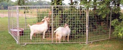 Northeast Gate Co. Portable Goat and Sheep Panels