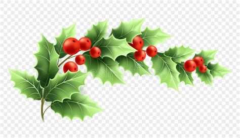 Christmas Holly Branch Realistic Illustration Stock Vector - Illustration of background ...