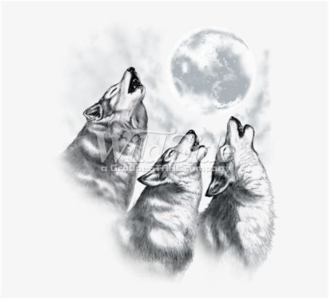 Wolf Howling Moon Drawing - Wolf Howling At Moon Drawing At Getdrawings ...