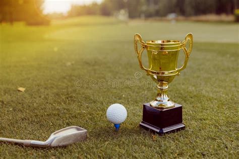 Golden Winner Cup with Golf Ball and Golf Club on Green Grass on Golf Course Stock Photo - Image ...