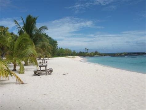 FALEALUPO BEACH FALES - Hotel Reviews (Samoa)