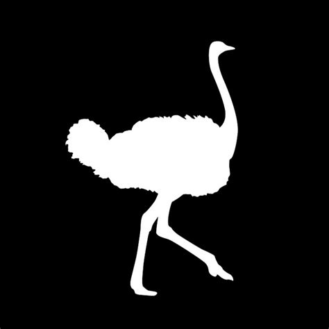 Flying Ostrich Media - YouTube