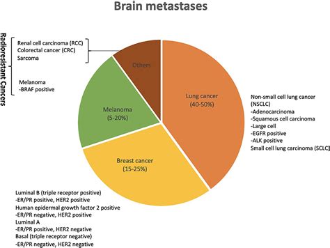 Frontiers | Tumor Primary Site and Histology Subtypes Role in Radiotherapeutic Management of ...