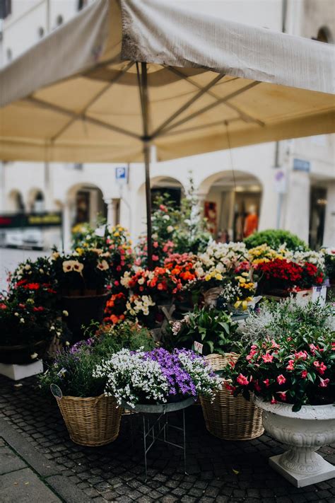 Flower street market | Free stock photo - 90398