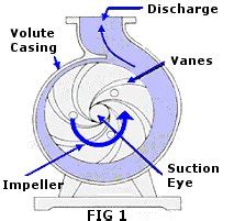 Draw the centrifugal pump diagram and show the impeller and fluid flow ...