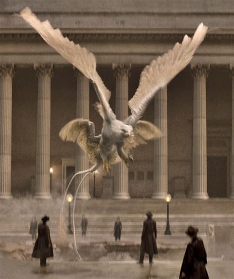 Thunderbird | Harry Potter Wiki | Fandom powered by Wikia