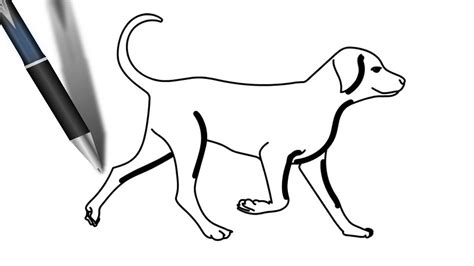 Dog step by step Drawing | Easy drawings, Easy drawing steps, Step by step drawing