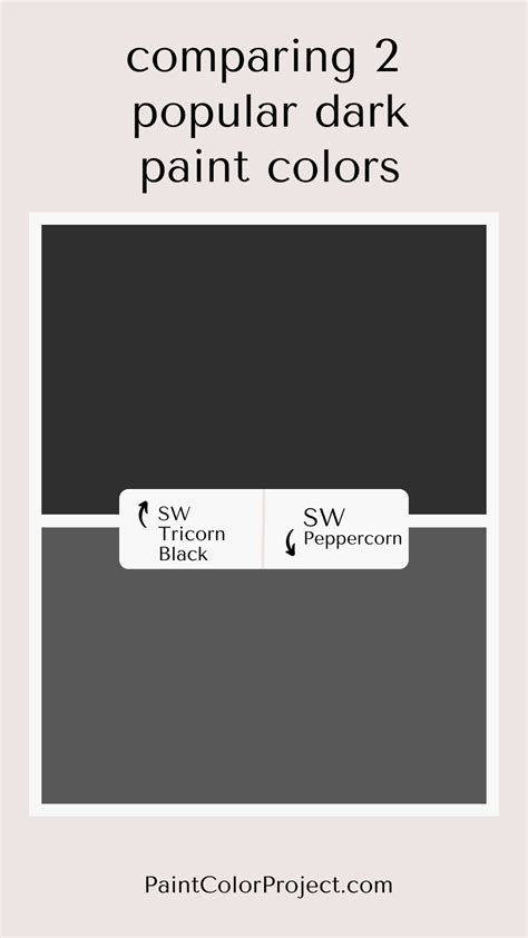 Sherwin Williams Tricorn Black: Complete Color Review - The Paint Color ...