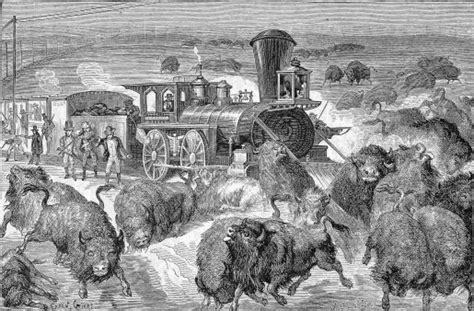 The Project Gutenberg eBook of The Extermination of the American Bison, by William T. Hornaday.