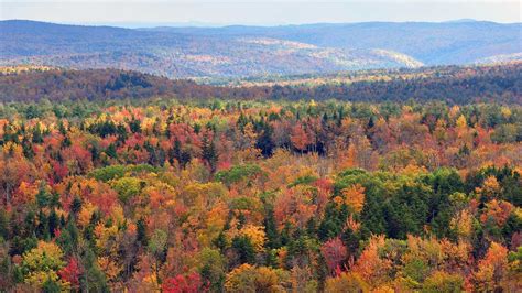 Fall foliage map 2021: When to see peak colors in Vermont