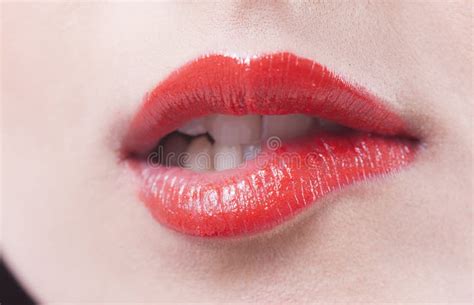 Red lips biting stock image. Image of biting, gorgeous - 30152269