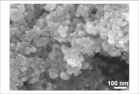 Characterization of Titanium dioxide nanoparticles (TiO 2NPs) by TEM ...