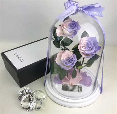 Specialty luxe preserved rose flowers in glass cloche - Slaylebrity