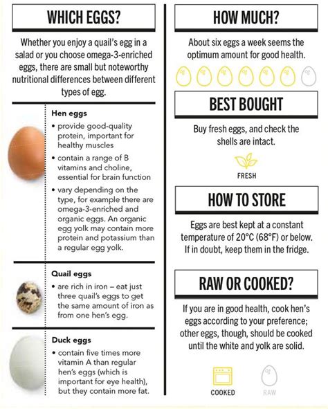 The Health Benefits of Eggs | Infographic for 2021