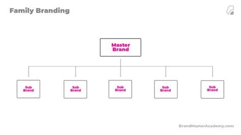 What Is Family Branding? Pros, Cons & 4 Examples