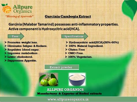 Garcinia cambogia Extract,Garcinia cambogia Extract powder by ...