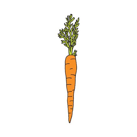 Carrot | Carrot drawing, Geometric tattoo, Tattoo store