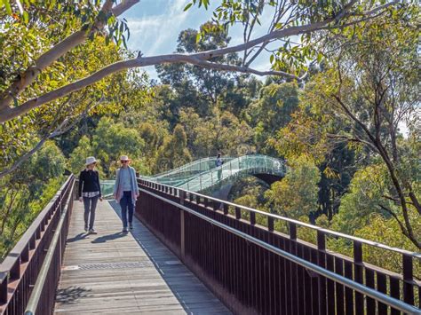 Lotterywest Federation Walkway Glass Arched Bridge in Kings Park, Perth, Australia Stock Photo ...