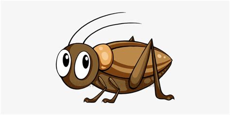 A Dozen Crickets Or So For A Little Snack, Ships In - Cricket Insect Cartoon Transparent PNG ...