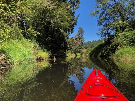 Benders Landing - N Fork Siuslaw River | Paddling.com