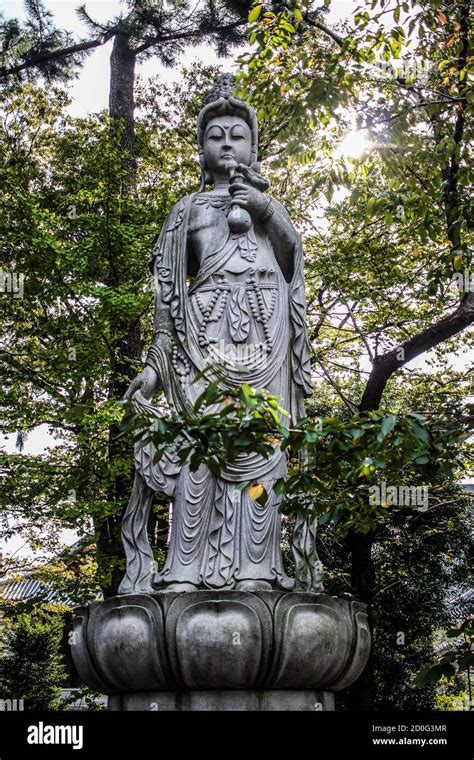 Statue of Kannon at Zojoji Temple in Tokyo, Japan Stock Photo - Alamy