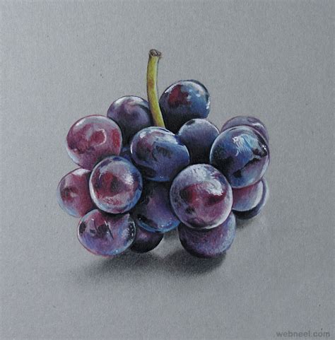 Grapes Realistic Drawing By Marcello Barenghi 18 - Full Image