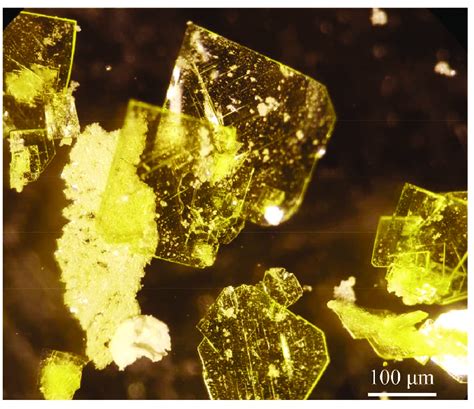 Crystals of autunite resulting from the benchtop synthesis involving ...