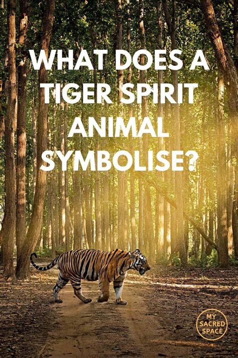 What Does a Tiger Spirit Animal Mean and Symbolise? - My Sacred Space ...