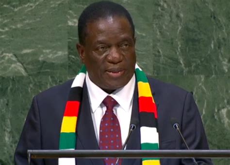 Zimbabwe: President Mnangagwa must reject proposed new law that ...