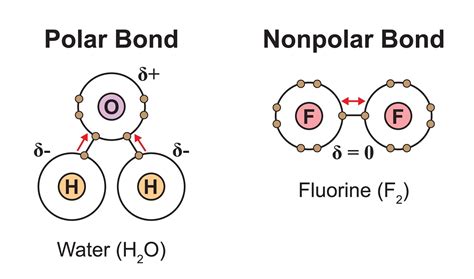 Understanding Types of Chemical Bonds | NurseHub