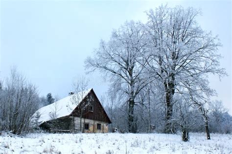 Old shack stock image. Image of building, ruinous, white - 38619299