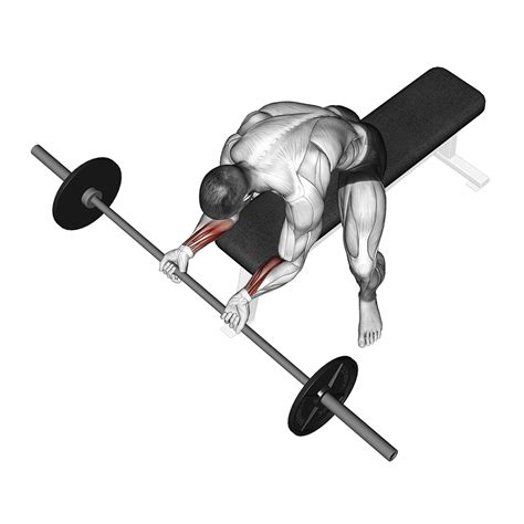 Barbell Wrist Curl: Benefits, Muscles Worked, and More - Inspire US